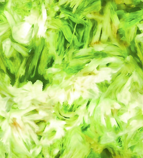 翠绿毛绒质感植物素材