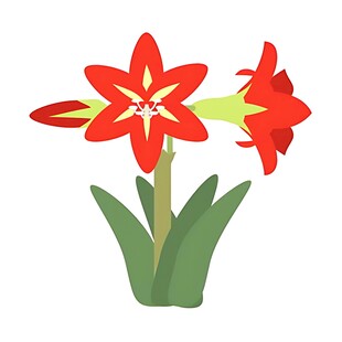 鲜艳红色花朵插画