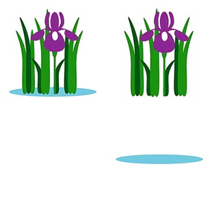 水中鸢尾花插画