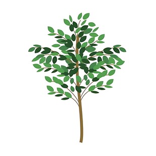 简约手绘绿色树木插画