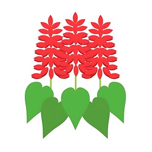 三株红色花卉插画