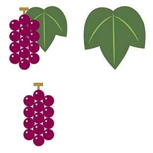 紫色葡萄与绿叶插画