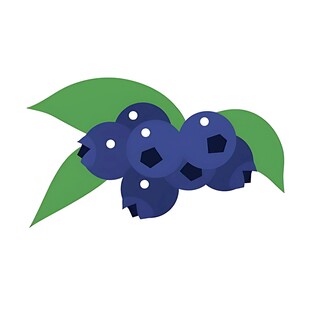 卡通蓝莓与绿叶