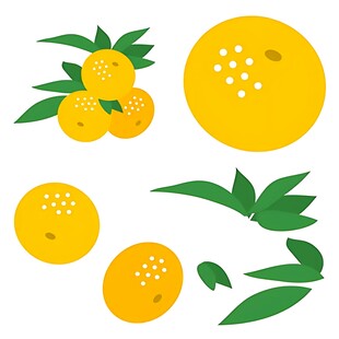 可爱柑橘插画