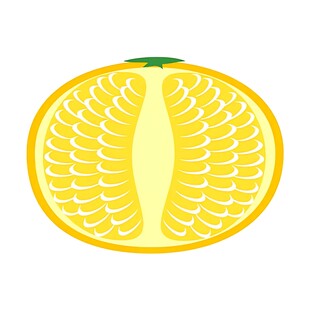 切开的黄色柑橘果实