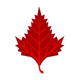 红色枫叶图标
