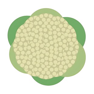 卡通风格绿色花椰菜图案