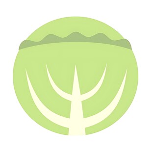 简约风格圆白菜图标