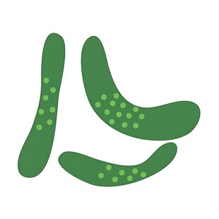 三根卡通黄瓜插画