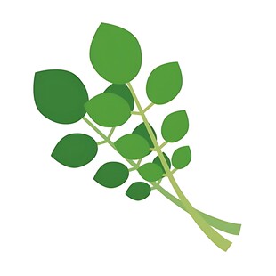 绿色植物枝叶插画