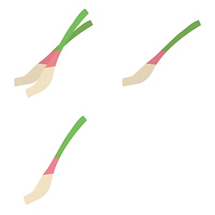 三根卡通风格的葱