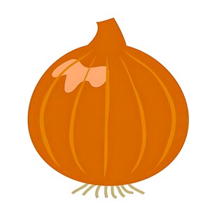 橙色洋葱插画