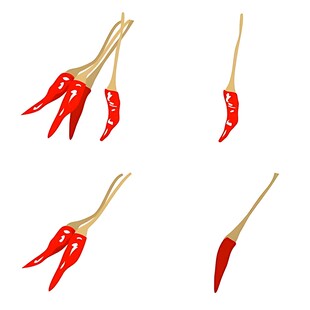 红辣椒特写展示