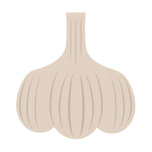 简约风格大蒜插画