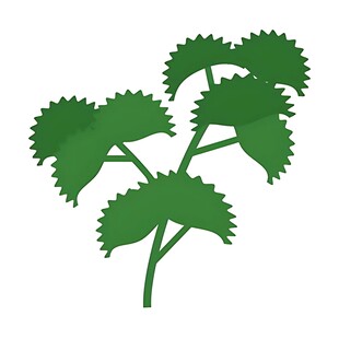 绿色锯齿状叶片植物