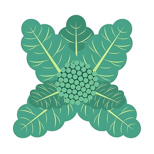 四瓣绿叶簇拥球状果实