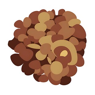 一堆棕色坚果粒