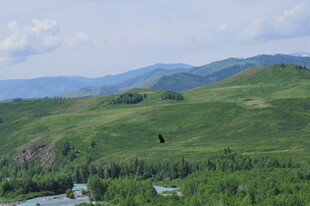 青山绿野间的自然美景