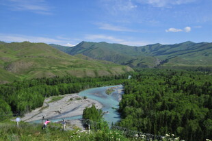 青山绿水间的蜿蜒河流
