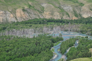 山谷间蜿蜒河流与葱郁森林