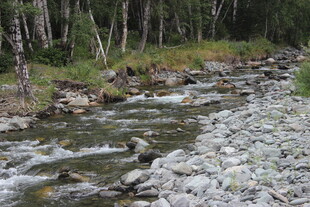 山间小溪潺潺流淌