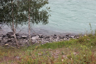 湖畔草木与岸边嶙峋石块