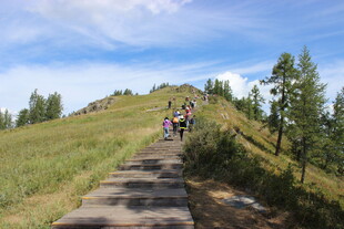 徒步者沿山间小径向上攀登