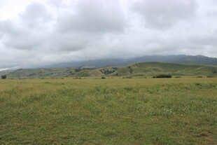 草原风光 阴云下的广袤绿野