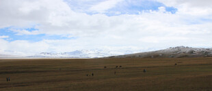 广袤草原上的蓝天白云