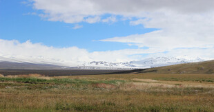 草原风光 远处雪山
