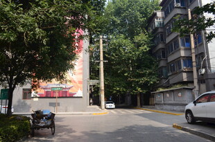 街道旁的楼房与绿树景观