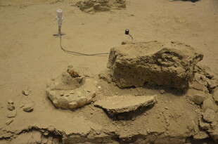 考古现场出土的古老遗迹