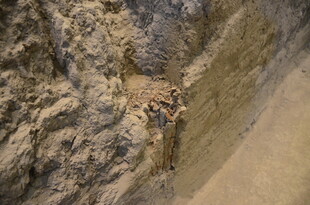 岩石表面细节纹理特写