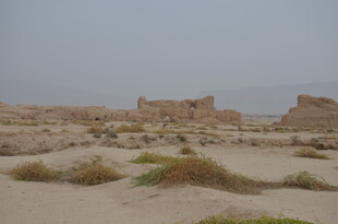 沙漠中的古老遗迹