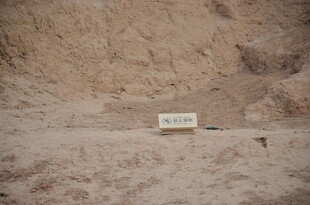 沙漠中的标识牌