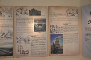 复古报纸墙展示多样画面