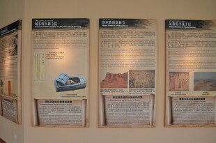墙面展示的多幅信息展板
