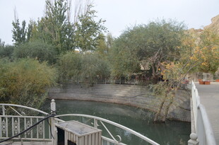 河畔木桥边的自然景致