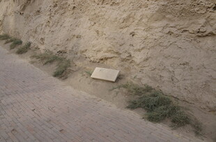 路边石碑与丛生野草