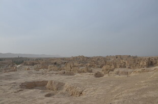 荒凉沙漠中的奇特地貌