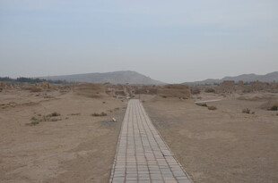 沙漠中的延伸石板路