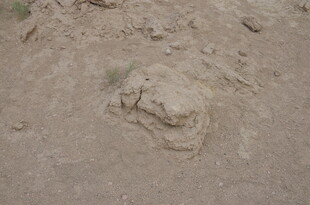 沙地上的奇特石块