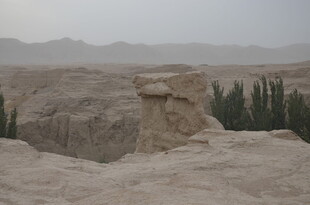 沙漠中的独特土丘景观