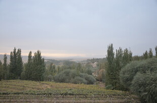 田园山林暮色景观