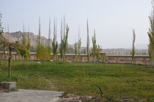 户外草地与树木景观