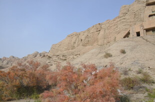 沙漠中的古老崖壁建筑