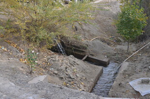 户外排水渠及周边绿植