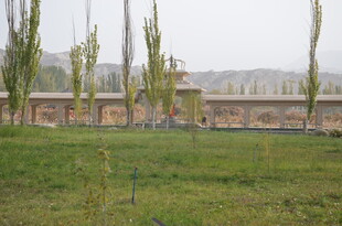 田野旁的树木与建筑