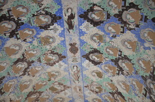 精美孔雀羽毛纹理图案