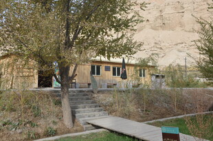 乡村小屋旁的自然景致